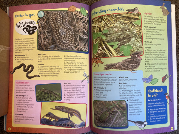 The Wildlife of the Forest