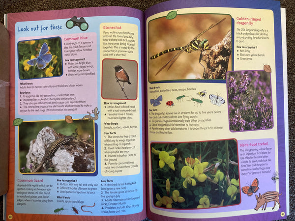 The Wildlife of the Forest