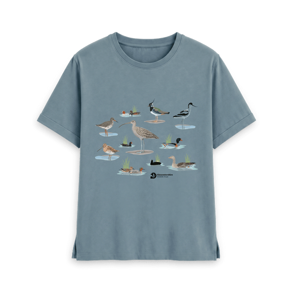 Stone Blue Printed T-shirt Front