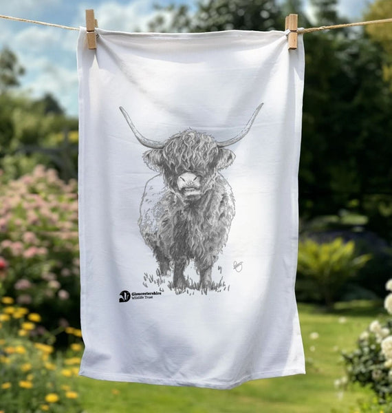 Highland cow tea towel