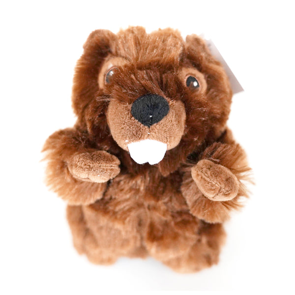 Mini Beaver
