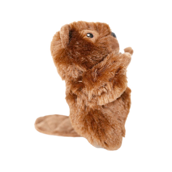 Mini Beaver