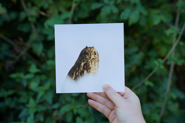 'Winter birds' Christmas cards by Gloucestershire Wildlife Trust