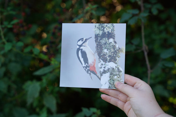 'Winter birds' Christmas cards by Gloucestershire Wildlife Trust