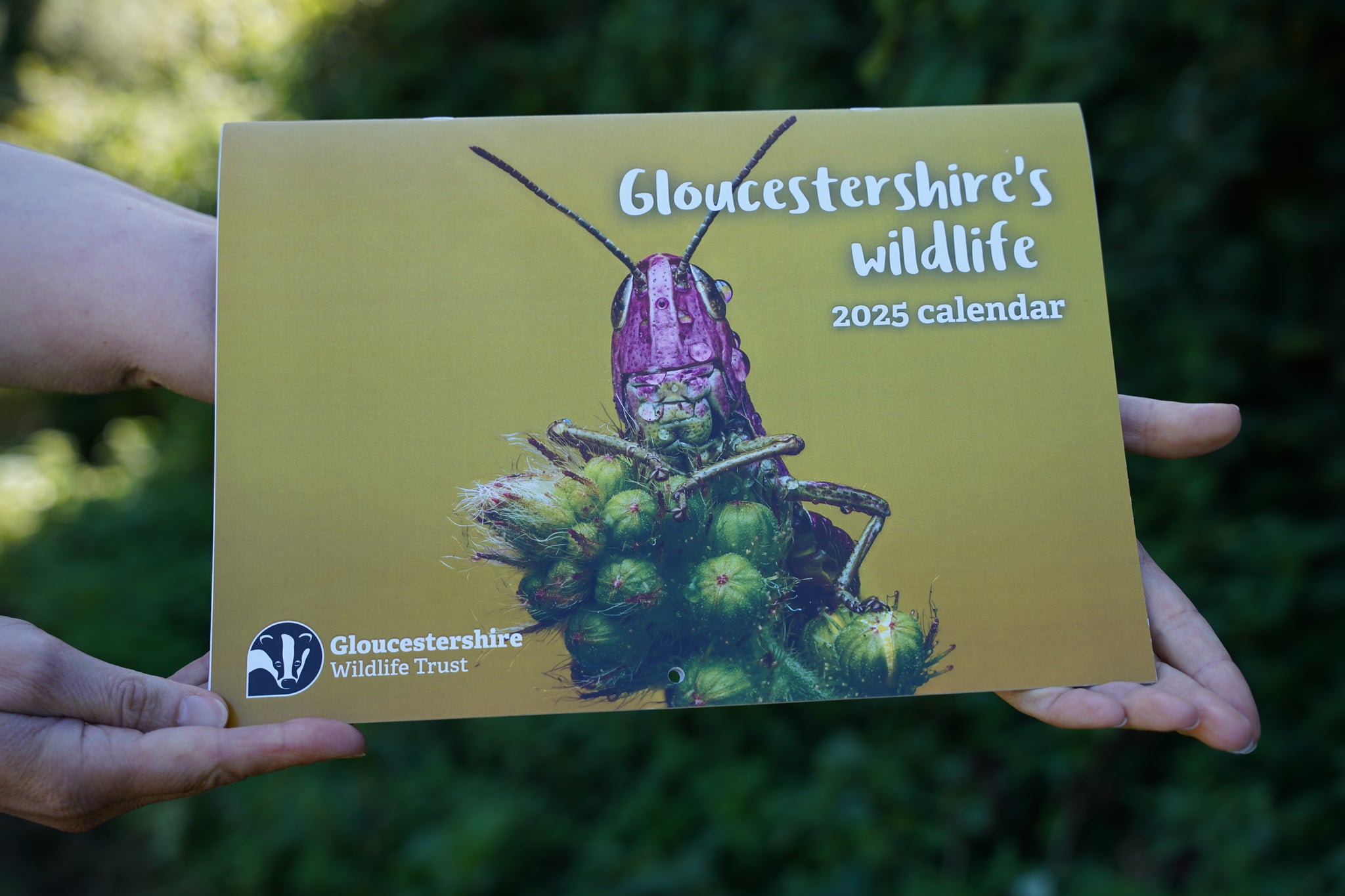 Bundle of 3 Calendars 2025 - save £5!