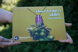 Bundle of 3 Calendars 2025 - save £5!