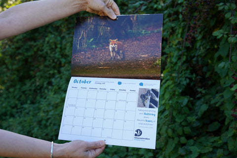 Calendar 2025 - Gloucestershire Wildlife Trust