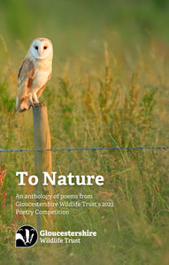 To Nature - An Anthology of Poems