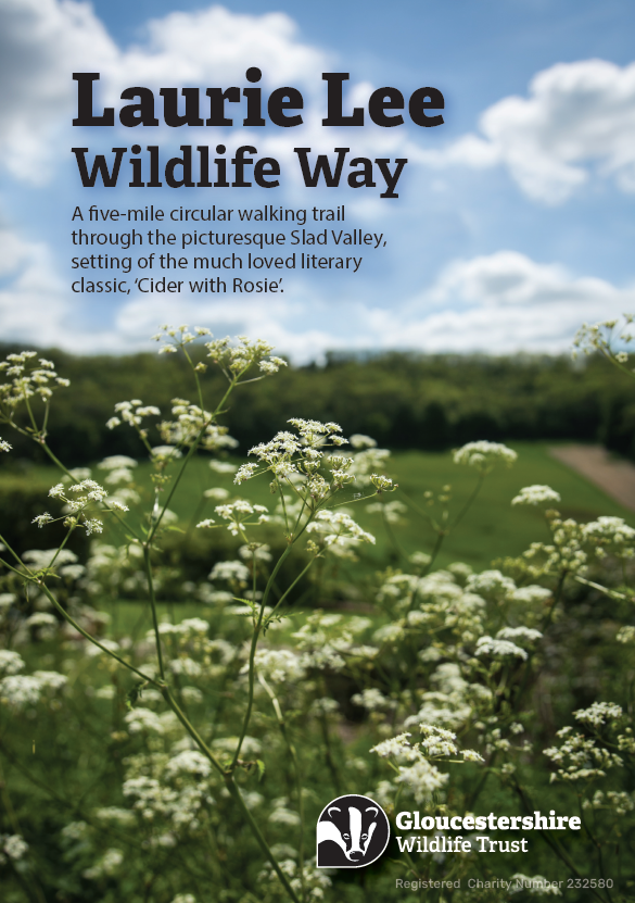 Laurie Lee Wildlife Walk Trail Leaflet - Download