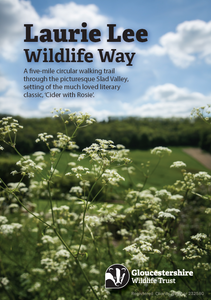 Laurie Lee Wildlife Walk Trail Leaflet - Download