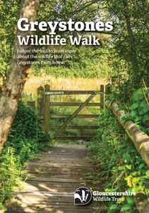 Greystones Wildlife Walk Map Leaflet - Download