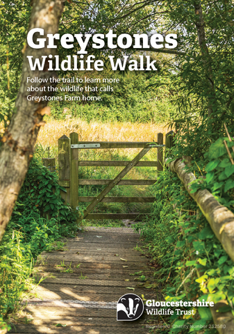 Greystones Wildlife Walk Map Leaflet - Download