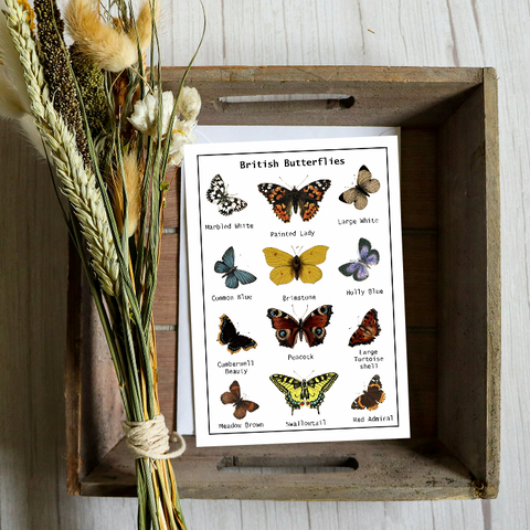 Seeds card - British Butterflies