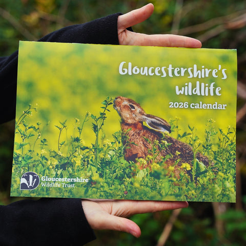 2026 calendar by GWT