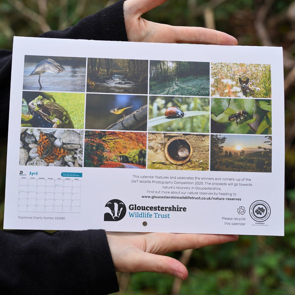 2026 calendar by GWT